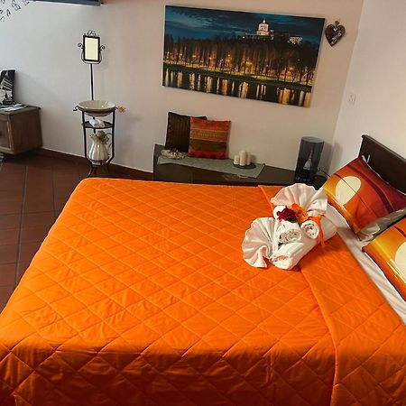 Historic Center Via Po Apartment Турин Экстерьер фото